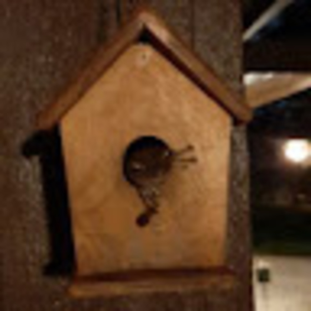 Meet your Posher, Marijke